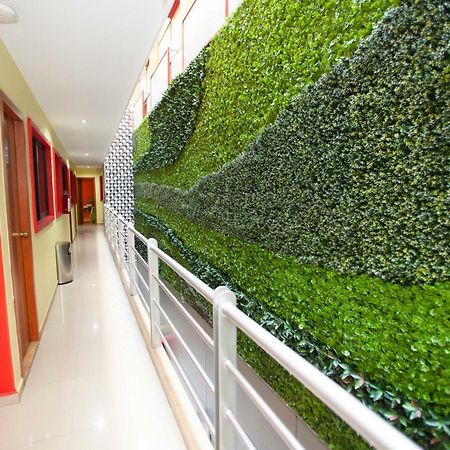 Hotel Lira - Solo Adultos Ciudad de México Exteriér fotografie
